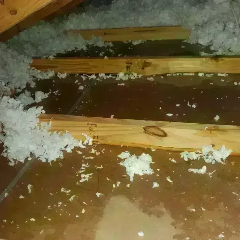 Attic Water Damage in Carroll County, MO