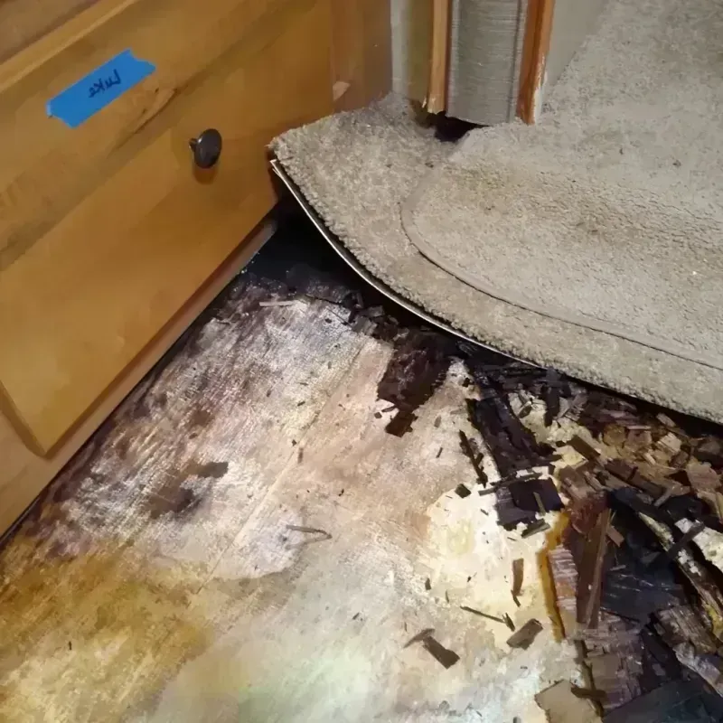 Wood Floor Water Damage in Carroll County, MO